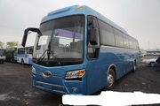 Kia Granbird Sunshine 2009 год на подушках